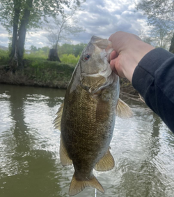 Bass Angling in PA